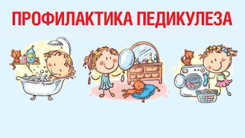 Профилактика педикулеза и чесотки.